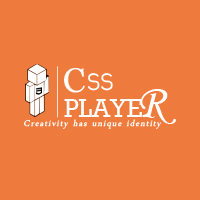 CSS Player IT Solutions