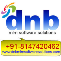DNB MLM Software Solutions